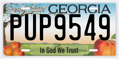 GA license plate PUP9549