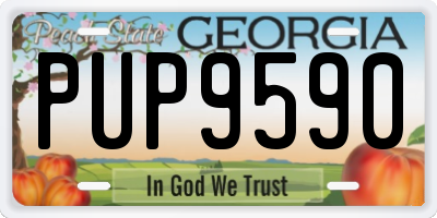 GA license plate PUP9590