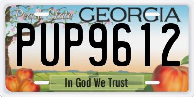 GA license plate PUP9612