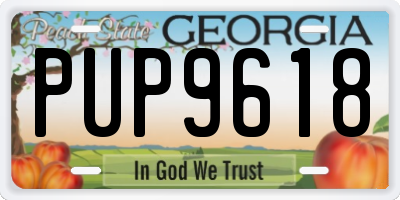 GA license plate PUP9618