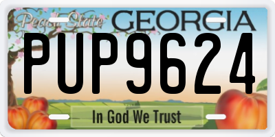 GA license plate PUP9624