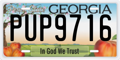 GA license plate PUP9716