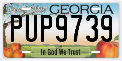 GA license plate PUP9739