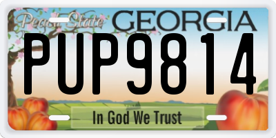 GA license plate PUP9814