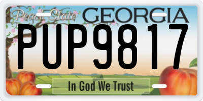 GA license plate PUP9817