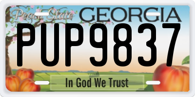 GA license plate PUP9837
