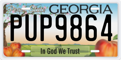 GA license plate PUP9864
