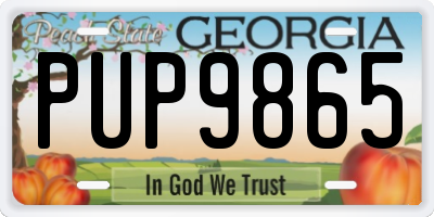 GA license plate PUP9865