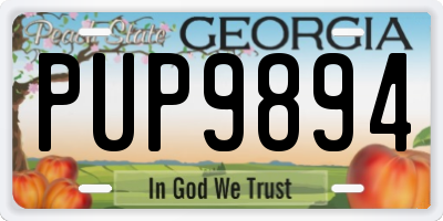 GA license plate PUP9894