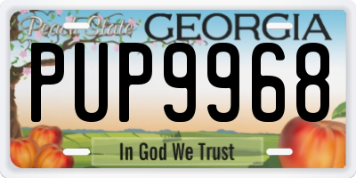 GA license plate PUP9968