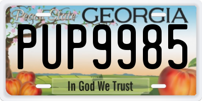 GA license plate PUP9985