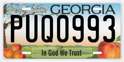 GA license plate PUQ0993