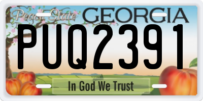GA license plate PUQ2391