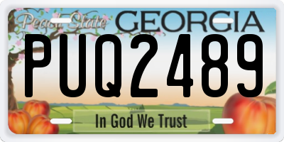GA license plate PUQ2489