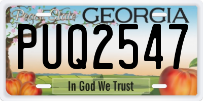 GA license plate PUQ2547