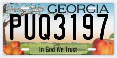 GA license plate PUQ3197