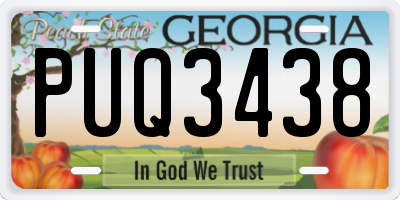 GA license plate PUQ3438