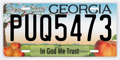 GA license plate PUQ5473