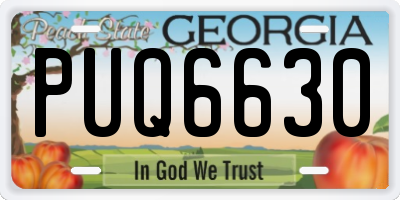 GA license plate PUQ6630