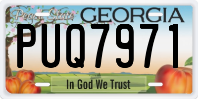 GA license plate PUQ7971