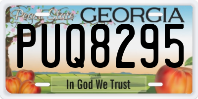 GA license plate PUQ8295