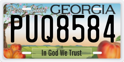 GA license plate PUQ8584