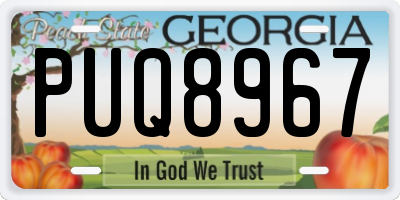 GA license plate PUQ8967