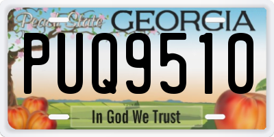 GA license plate PUQ9510