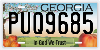 GA license plate PUQ9685