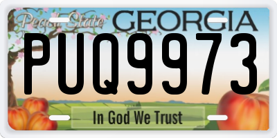 GA license plate PUQ9973