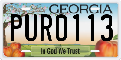 GA license plate PUR0113