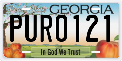 GA license plate PUR0121