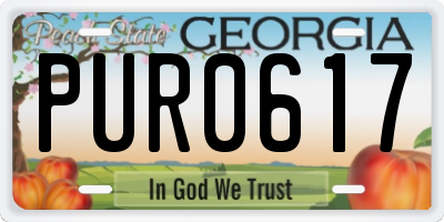 GA license plate PUR0617