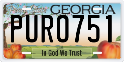 GA license plate PUR0751