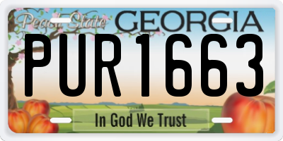 GA license plate PUR1663