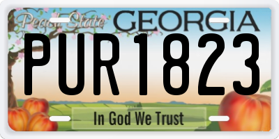 GA license plate PUR1823