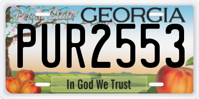 GA license plate PUR2553