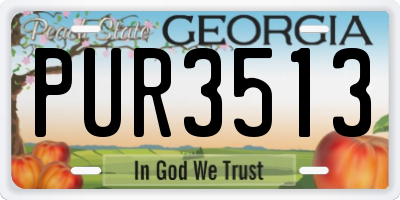 GA license plate PUR3513