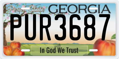 GA license plate PUR3687