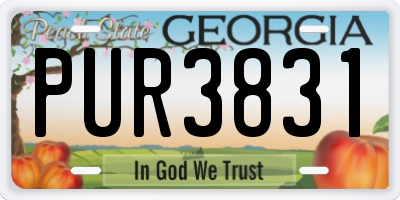 GA license plate PUR3831