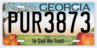 GA license plate PUR3873