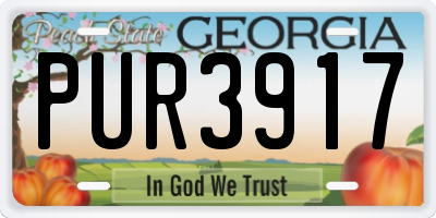 GA license plate PUR3917