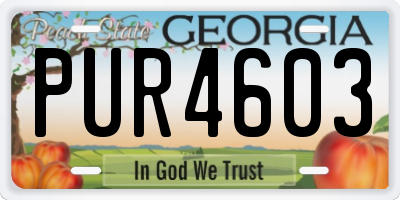 GA license plate PUR4603