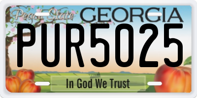 GA license plate PUR5025