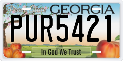 GA license plate PUR5421