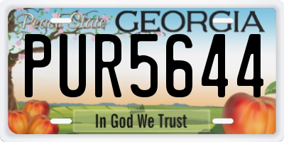 GA license plate PUR5644