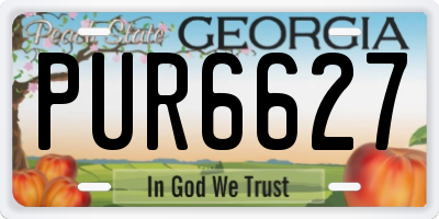 GA license plate PUR6627
