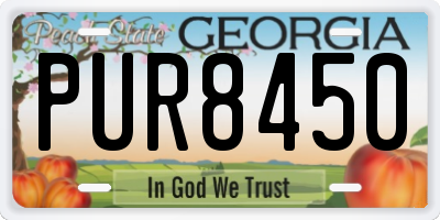 GA license plate PUR8450