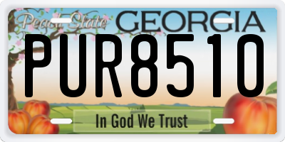 GA license plate PUR8510
