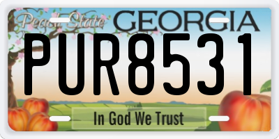 GA license plate PUR8531